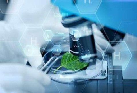 برگزاری کارگاه توسعه روابط بین الملل در حوزه فناوری در اصفهان برگزاری کارگاه توسعه روابط بین الملل در حوزه فناوری در اصفهان