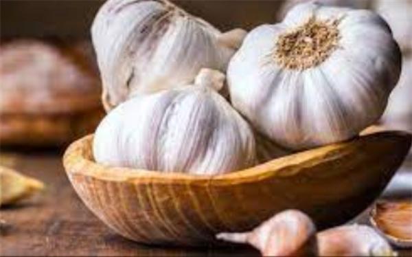 سیر می تواند در لاغری موثر باشد؟ سیر می تواند در لاغری موثر باشد؟