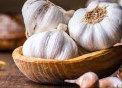 سیر می تواند در لاغری موثر باشد؟